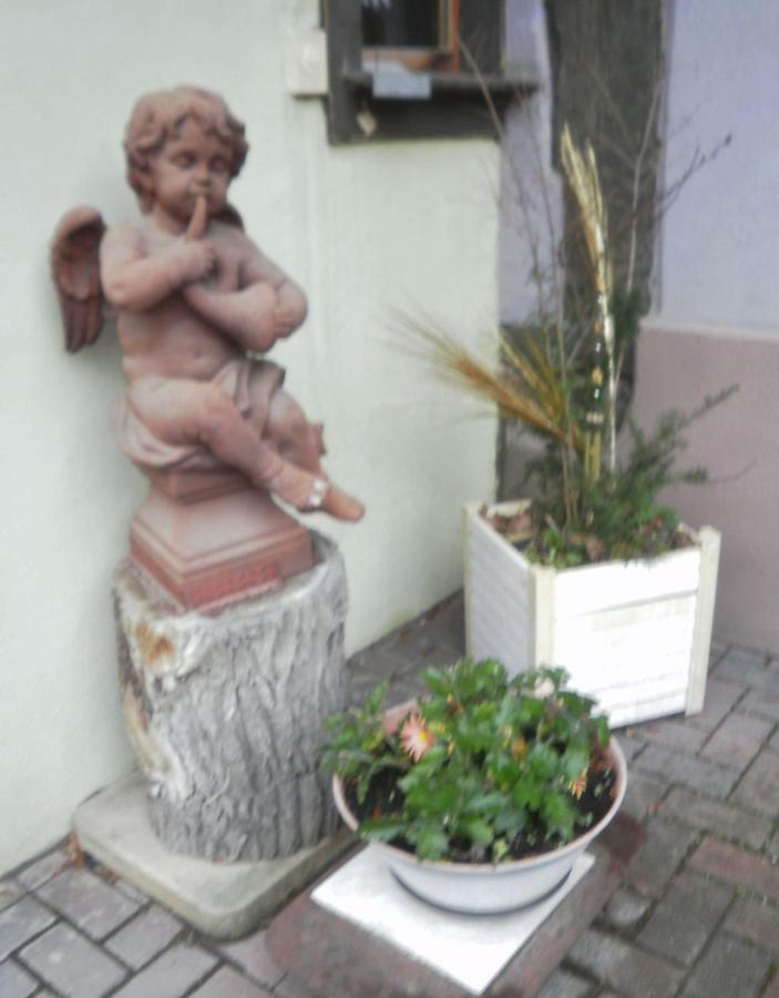 Gites Petermann Marckolsheim Zewnętrze zdjęcie